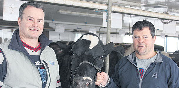 Dès leur jeune âge, Stéphane et Carl étaient certains de vouloir se lanc   ser dans l’élevage de Holsteins. Crédit photo: Frédéric Marcoux