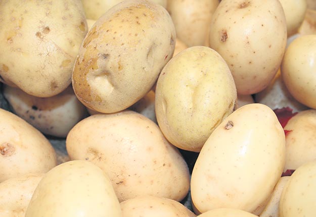 La vraie nature de la patate - La Terre de chez nous