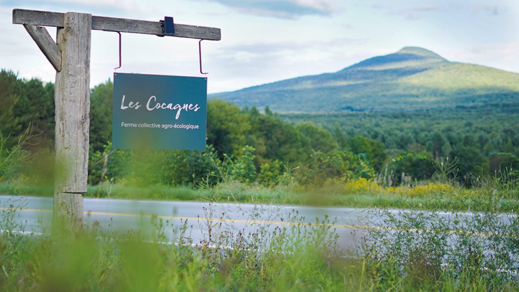 « Notre première mission est de donner l’accès à la terre, puis on passe par l’agrotourisme pour financer cette terre », explique Stéphanie Hinton. Photo : Joanie Beaudoin