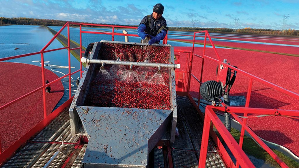 Les superficies biologiques, qui étaient déjà en perte de terrain, ont encore reculé de 632 acres en 2023, représentant désormais 21,5 % des cultures totales.