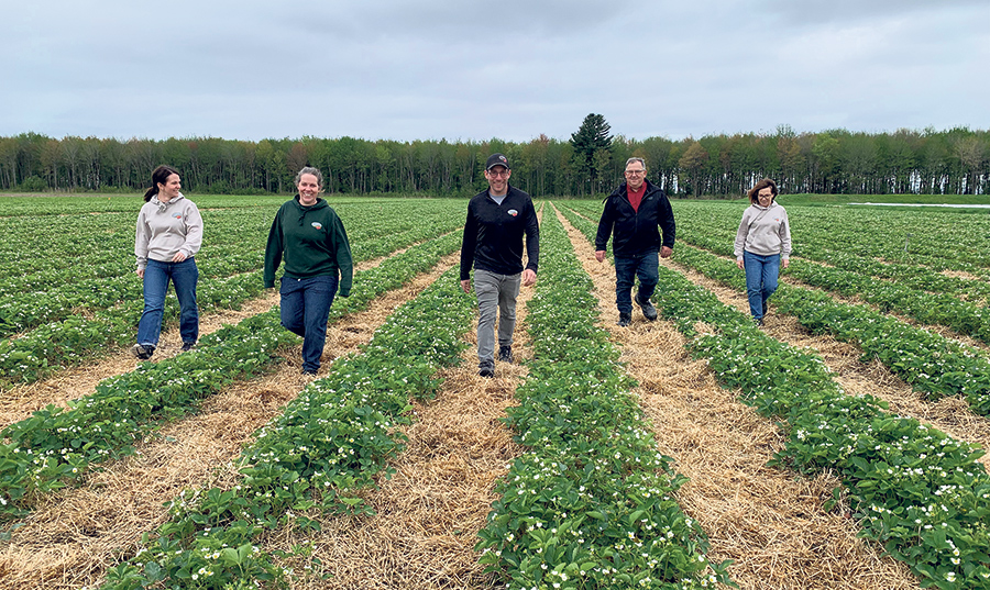 La saison des fraises en champs étaient en préparation au moment du passage de La Terre.