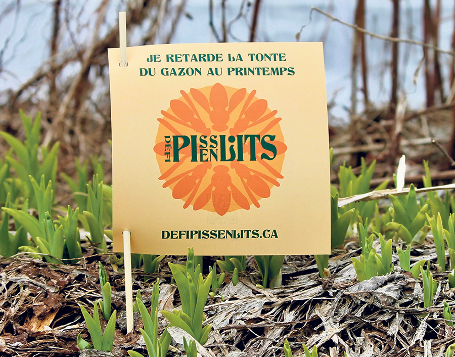Photo : Nature-Action Québec