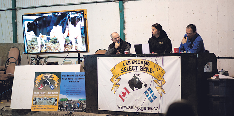 Au lieu de ses huit à dix ventes habituelles, Éric Therrien en a fait quatre ce printemps. Photo : Gracieuseté des Encans Sélect Gène