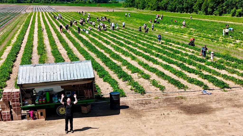 Au Potager Mont-Rouge, on s’est étonné du nombre de courageux qui sont venus braver la canicule dans les champs d’autocueillette, le 24 juin. Photo : Gracieuseté du Potager Mont-Rouge