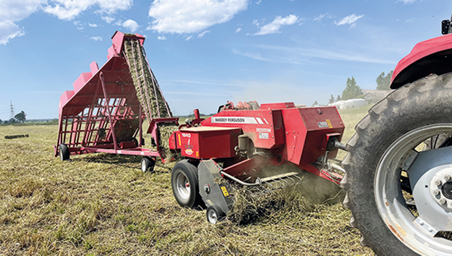 La famille Alary ne compte aucun employé. Père et fils travaillent en duo et utilisent leurs équipements à leur capacité maximale. Agrandir les superficies en plantes fourragères nécessiterait d’embaucher une autre équipe et de dupliquer le parc de machinerie, ce qui pourrait se réaliser un jour si la demande poursuit sa croissance.