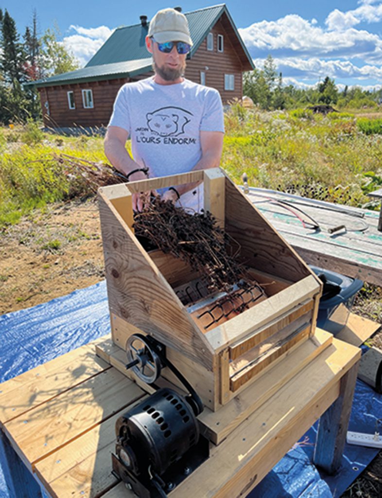 Le producteur a conçu cette machine pour battre ses épis de sarrasin et en récolter les grains.