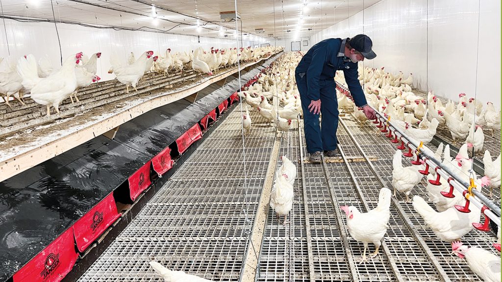 Nicholas Tremblay n’est pas inquiet pour l’agriculture au Québec. « On a de très grands entrepreneurs, qui sont très débrouillards. L’agriculture va continuer et il ne manquera pas de nourriture. Mais ce qui m’inquiète, c’est par qui ça va être fait, car sans actions de la part du milieu agricole et du gouvernement, la concentration des fermes va s’intensifier et mener vers une inaccessibilité pour les jeunes qui veulent prendre la relève. » Photos : Martin Ménard/TCN