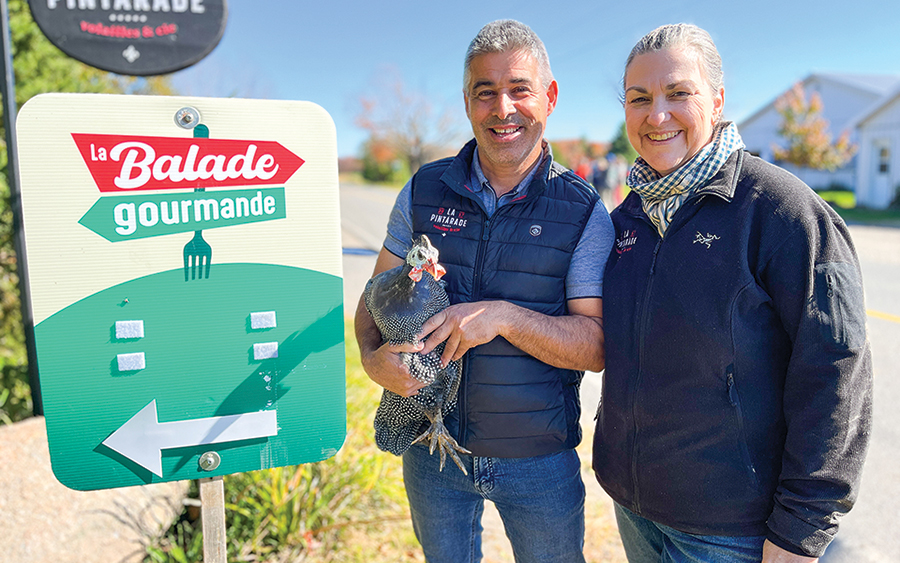Bruno Guérard et Chantal Mondor ont commencé avec 800 pintades il y a huit ans et en comptent 3 200 aujourd’hui. Chantal Mondor souligne l’importance de transformer la viande de pintade en différents produits, une stratégie qui se révèle nettement plus lucrative que simplement vendre les oiseaux entiers. Elle produit même des crèmes hydratantes avec le gras de pintade et des boucles d’oreilles avec les plumes!