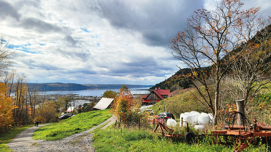 La bergerie et le verger sont situés sur le flanc d’une montagne surplombant le fjord du Saguenay.