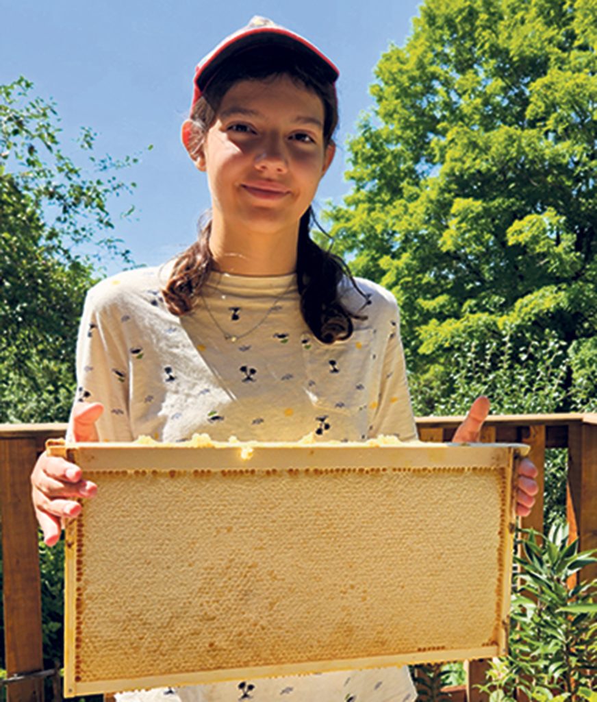 Anca Busoi récolte la cire de ses abeilles.