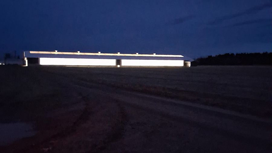 L’étable est équipée d’une nouvelle technologie d’éclairage guidée par des cellules photoélectriques sans fil afin d’émettre l’intensité lumineuse optimale pour les vaches tout en minimisant la consommation d’électricité.