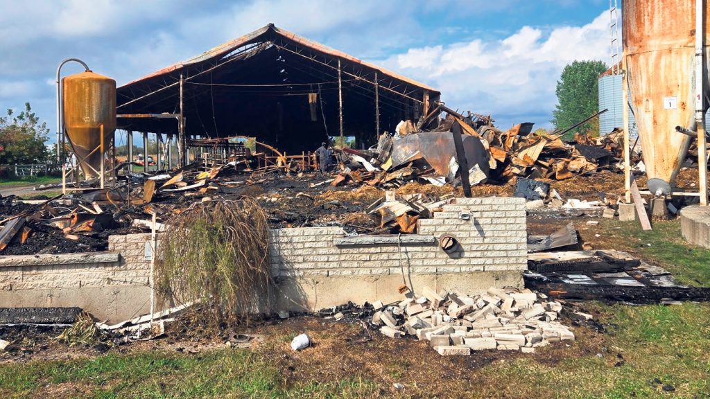 Un incendie a ravagé la ferme de Louis Hébert, le 25 septembre, et il craint que les délais de reconstruction lui fasse perdre son quota. Photo : Gracieuseté de la Ferme Valayre