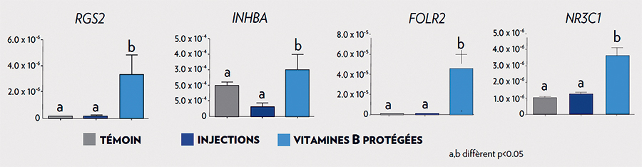 Effet des vitamines B protégées ou du traitement par injection sur les transcrits différemment exprimés codant pour des marqueurs impliqués dans la qualité ovocytaire (validés par qRT-PCR).