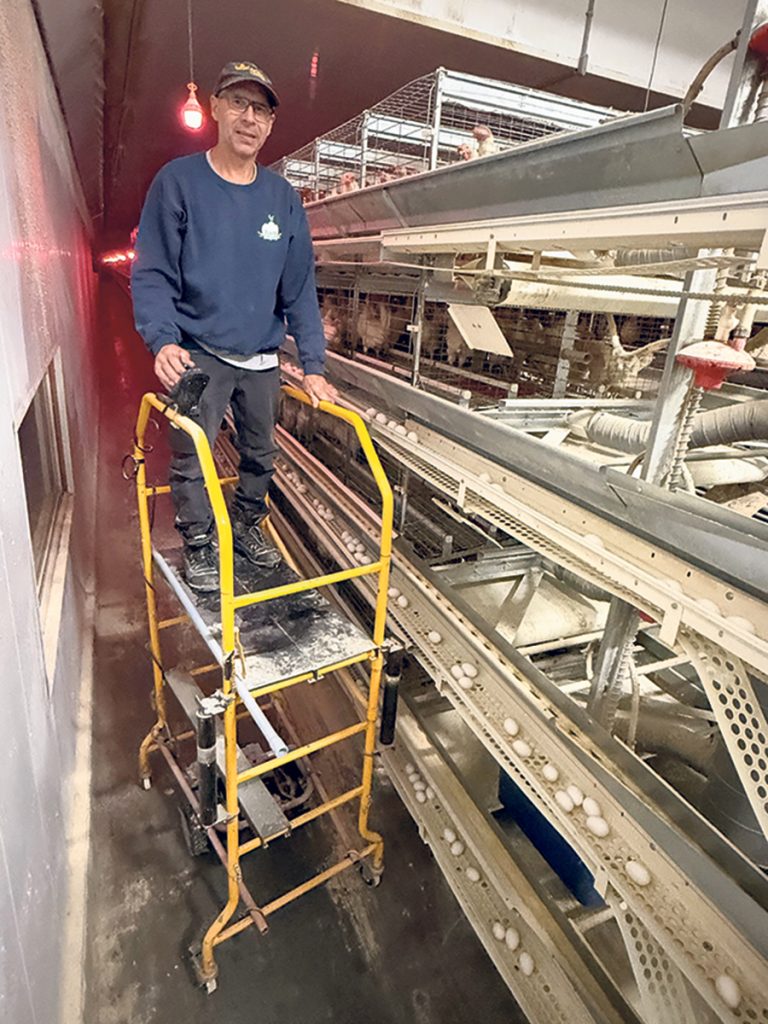 François Beauparlant a installé le moteur, les roues de propulsion et le levier de contrôle d’un quadriporteur sur une plateforme mobile pour faciliter le travail dans son pondoir à logements aménagés.