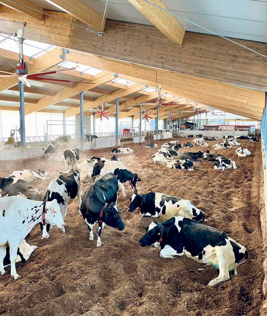Les propriétés de la nouvelle étable de la Ferme bois mou 2001 ont amélioré autant le bien-être des propriétaires que celui de leurs vaches. Photo : Gracieuseté de la Ferme bois mou 2001