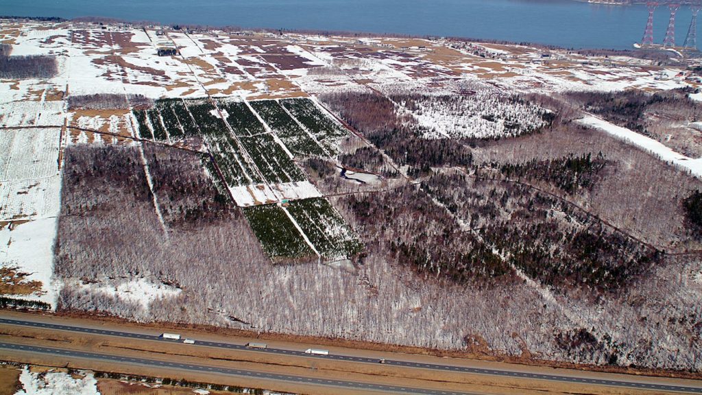Jean-Paul Tardif estime que les 164 hectares gardés en zone industrielle, en bordures fluviales et en bordure de l'autoroute 20, « sont des milieux extraordinaires qui devraient être préservés ». Photo : Archives/TCN