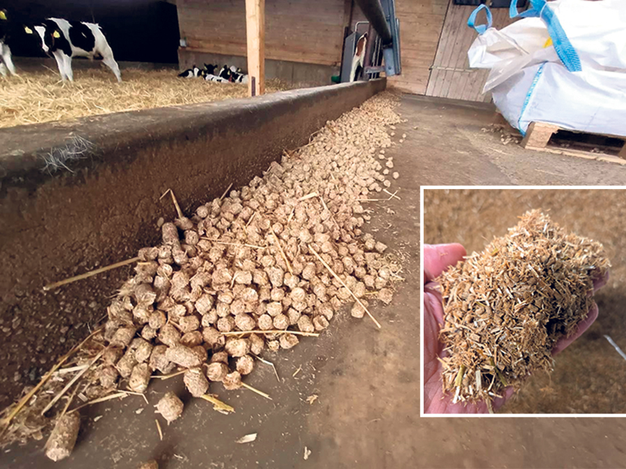 L’alimentation des bêtes est au cœur de l’entreprise. Les coûts et rendements sont constamment analysés. Des tests sont aussi effectués, dont celui d’alimenter les veaux avec des granules, un concept qui a été modifié avec une texture plus fine, ce qui a fait passer leur consommation de 3 à 4,5 kilos par jour.