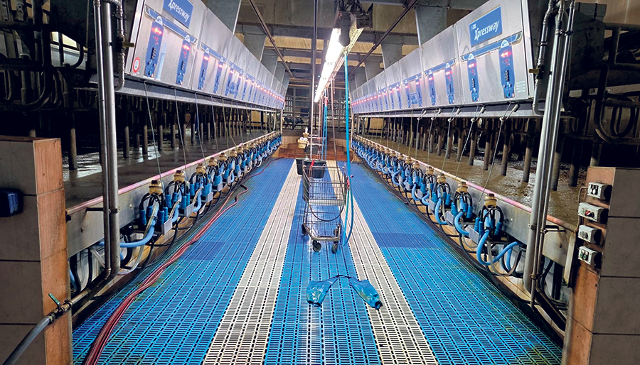 Le salon de traite double 20 sera éventuellement remplacé par des robots afin d’accroître notamment le nombre de traites. Les vaches ont une moyenne de production de 13 749 kilos par année avec 4,21 % de gras et 3,52 % de protéines.