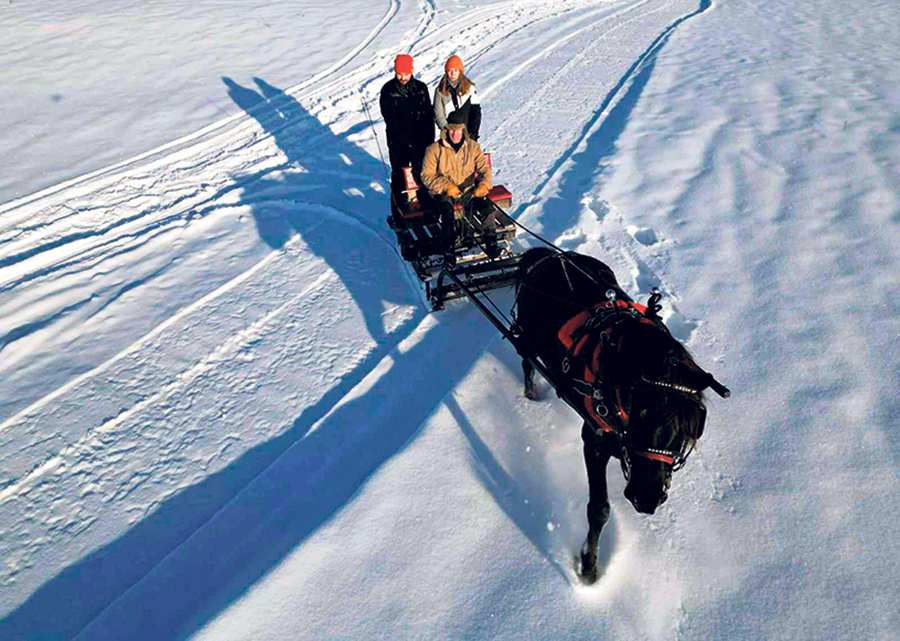Gustave Bouchard, qui s’intéresse à l’attelage depuis 1998, estime que l’hiver est la meilleure saison pour travailler avec le cheval, surtout après les grosses bordées de neige. Photo : Gracieuseté de Gustave Bouchard