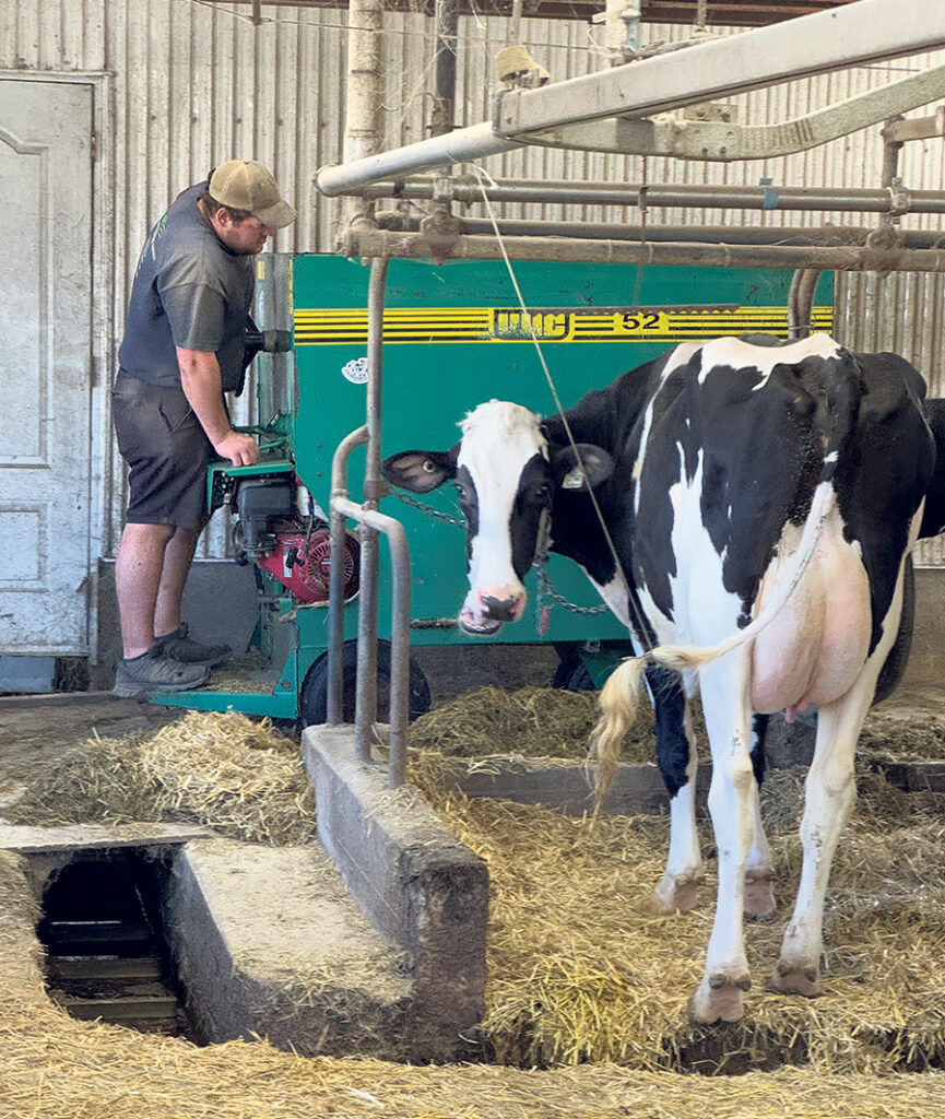 Le troupeau se compose de 85 têtes, dont 46 vaches Holsteins en lactation.