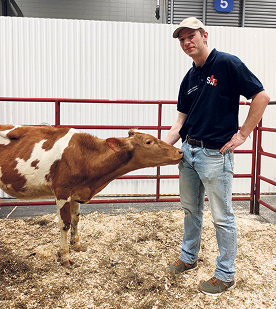Pour Loggan Hébert, la vache Guernsey, très rare au Québec, offre des caractéristiques intéressantes.