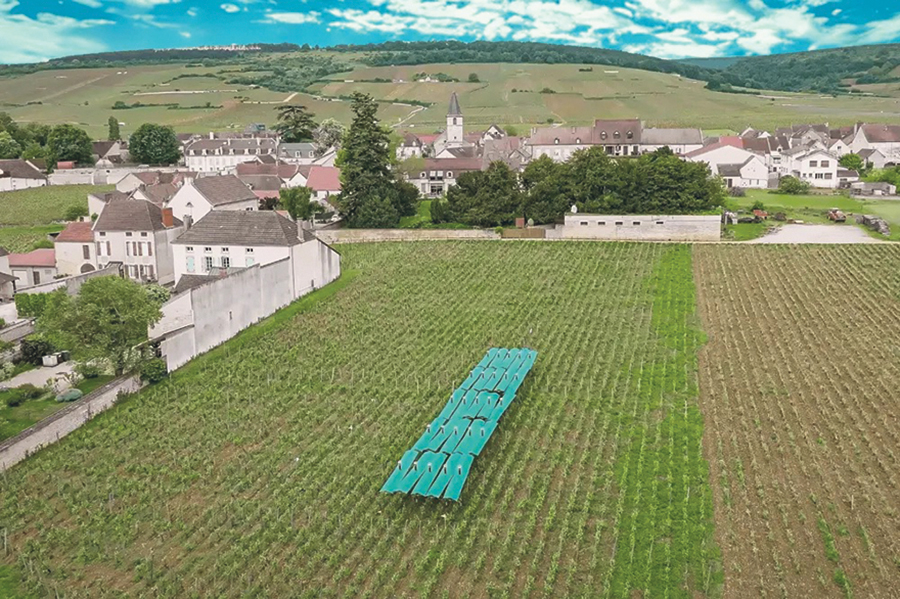 Selon l’entreprise, la récolte a été doublée avec seulement 18 déploiements de la canopée, lors d’un test en Bourgogne. Photo : BIENESIS