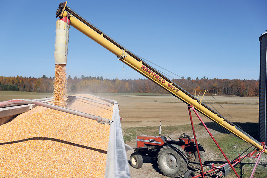 La Ferme Joviane a récolté 10,8 t/ha de maïs-grain en 2024 pour une zone de 2 300 UTM.