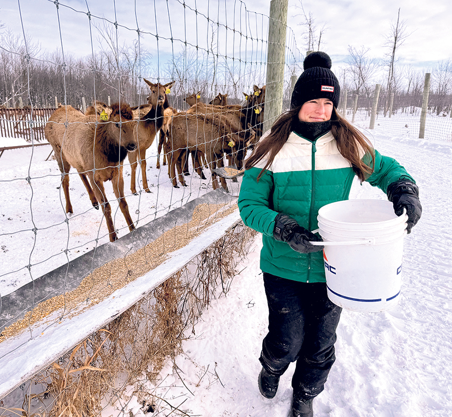 Tous les animaux vivent à l’extérieur à longueur d’année, ce qui oblige les deux producteurs à affronter les grands froids hivernaux.