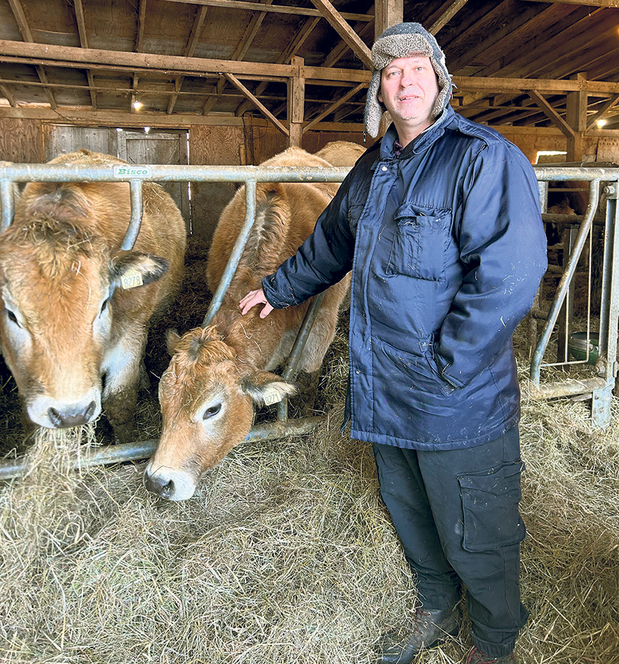 Marc Lapointe avec son troupeau de vaches Parthenaises, à Roxton Falls, en Montérégie. Photo : Gracieuseté des Élevages Parthenais S.M.
