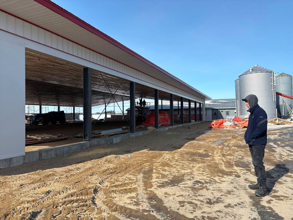 La Ferme Margot a un troupeau de 380 têtes de race Ayrshire, dont 180 vaches en lactation. Une croissance à 400 animaux est prévue d’ici l’an prochain. Un projet de construction de bâtiment pour loger les animaux de remplacement est d’ailleurs en cours. Photo : Caroline Morneau/TCN
