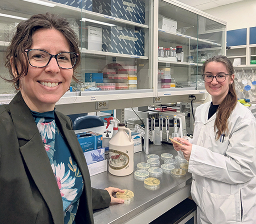 Marie Filteau, accompagnée d’une étudiante au doctorat dans le cadre d’un projet sur les fonctions du microbiome de la sève d’érable. Photo : Université Laval