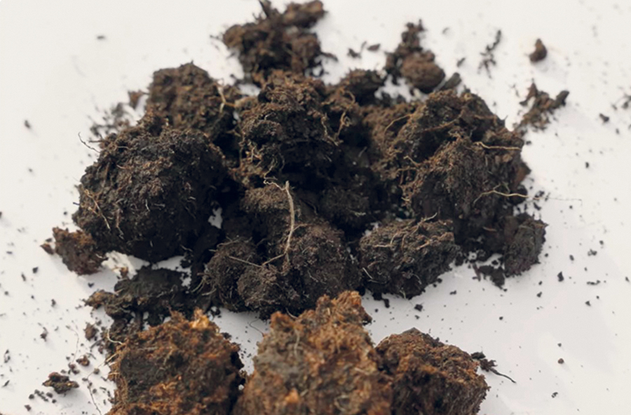 Le sol organique se distingue par des horizons à forte concentration de fibres de plantes ou très décomposés. Photo : Gracieuseté de l’IRDA