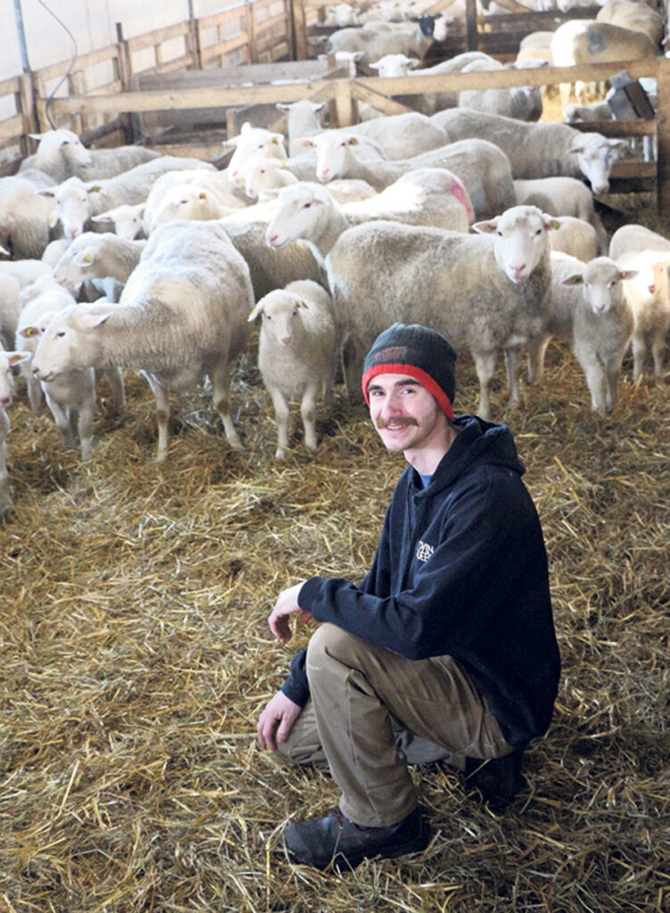 Depuis le démarrage de son élevage ovin, il y a trois ans et demi, Fabien Dion-Bourbonnais se concentre sur la performance de son troupeau, afin d’amener le taux de fertilité – actuellement de 2,3 agneaux par brebis – plus près de la moyenne de la race, qui est autour de 2,5 à 2,6, souligne-t-il. Photo : Patricia Blackburn/TCN
