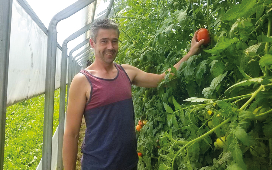 Benoît Duval, propriétaire de la Ferme Ô Saine Terre, vend le surplus de ses fruits à d’autres fermes biologiques. Photo : Gracieuseté de la Ferme Ô Saine Terre