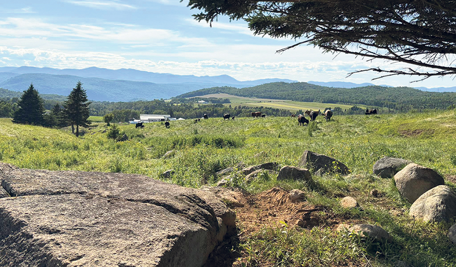 La ferme des Ménard est posée dans un décor de carte postale dans un discret rang de Baie-Saint-Paul.