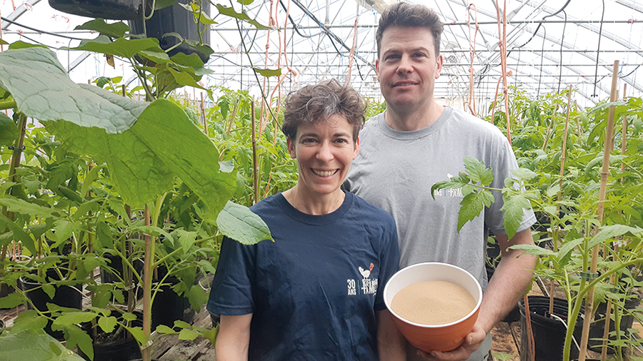 Caroline Poirier et Sébastien Alix, de la ferme coopérative Croque-Saisons, ne participent pas au projet de recherche de l’IRDA, mais ils s’intéressent également au frass. Photo : Gracieuseté de Sébastien Alix