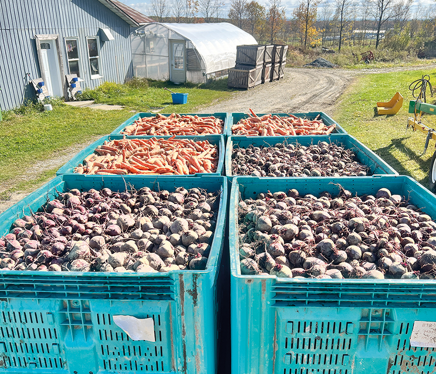 La ferme cultive une diversité de légumes, notamment des carottes, betteraves, panais, haricots, fraises, brocolis, choux-fleurs, ainsi qu’un peu d’oignons et de courges.