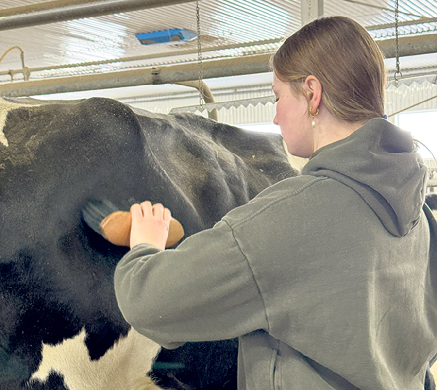 Le bien-être animal est important pour la famille, comme en témoigne Ima.