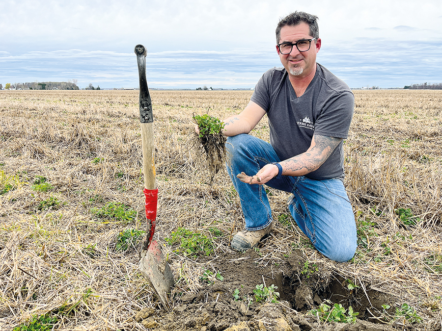 Michel Sauvé passe maintenant de nombreuses heures à creuser des profils de sols sur ses 400 hectares, afin d’améliorer sa structure et sa régie de culture.