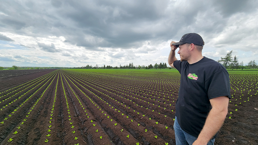 Samuel Saint-Jacques, qui s’occupe du travail au champ, doit constamment adapter ses stratégies pour assurer la constance de la production de laitues de haute qualité malgré les aléas de dame Nature. Photo : Patricia Blackburn/TCN