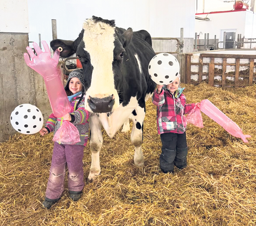 C’était la fête d’Annabelle, chouchou du troupeau de la Ferme Fontabel, à Weedon. Maude Fontaine et Maxime Lafond lui avaient organisé un genre de party, avec leurs deux belles filles.