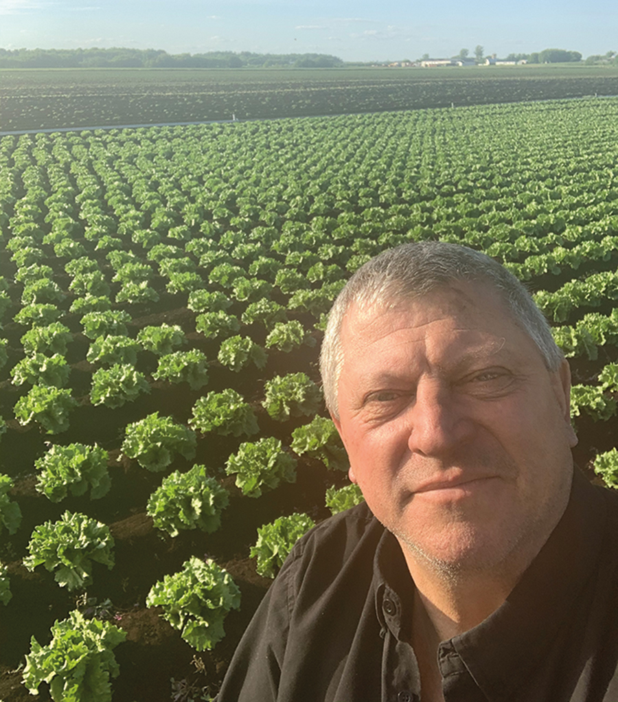 Il y a une vingtaine d’années, le producteur Robert St-Jacques a commencé à vendre sa production de manière indépendante en négociant directement avec les grossistes. Photo : Gracieuseté de Laitue St-Jacques