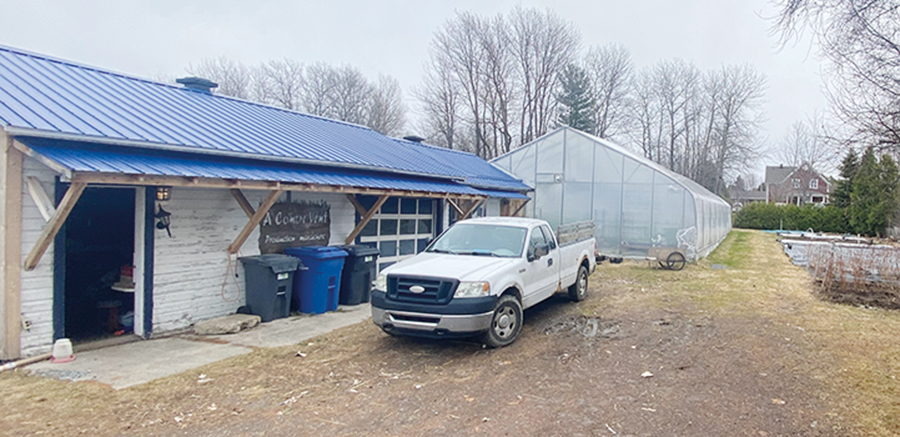 Son garage et l’arrière du terrain ont été transformés pour accueillir une production agricole. Photo : Audrey Paradis