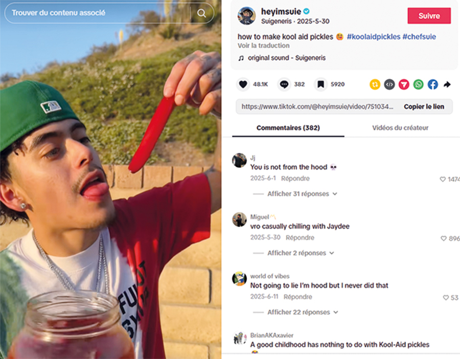 Les internautes sont encouragés, sur les réseaux sociaux, à mélanger des cornichons avec la boisson de marque Kool-Aid pour faire des « Kool-Aid pickles ».