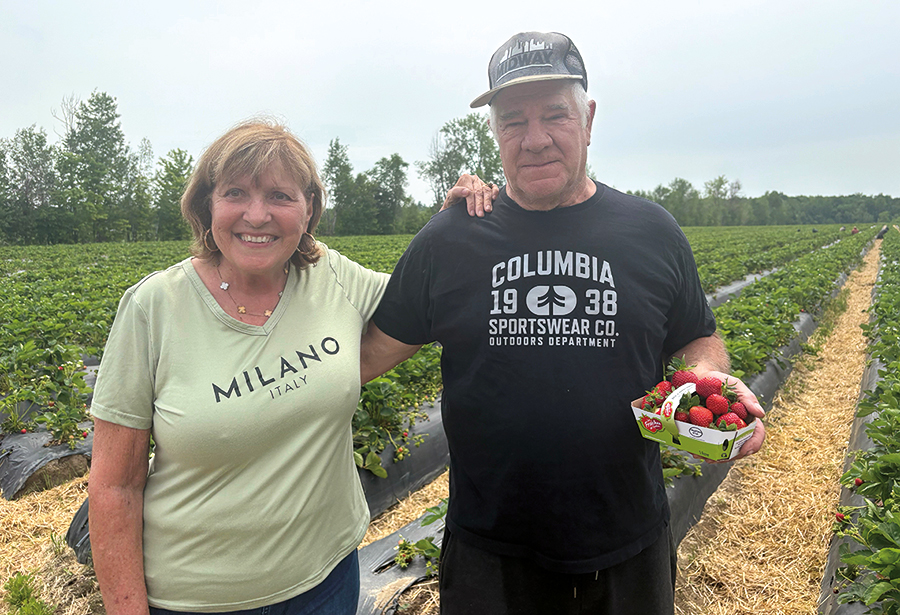Huguette et Maurice Chaumont étaient déjà des spécialistes des primeurs de fraises dans les années 1980, bien avant l’arrivée de la plasticulture.