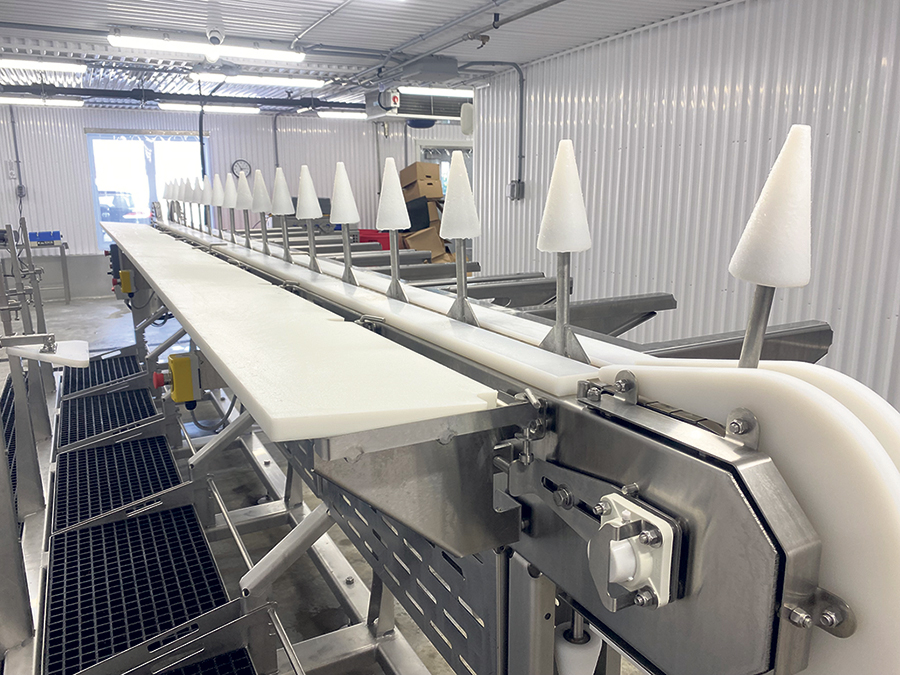 La machine à cônes acquise il y a deux ans permet d’accélérer grandement le débitage des poulets. Photo : Émilie Parent-Bouchard