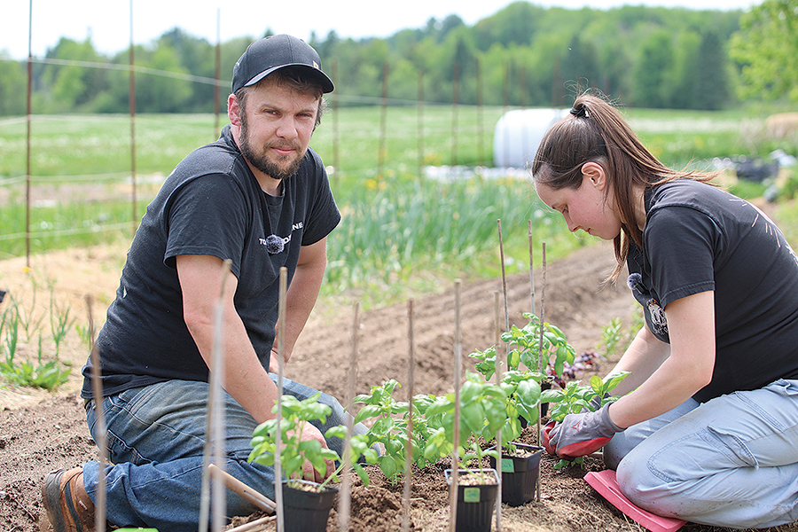 Vincent Langlois et Marjolaine Rochat misent sur une production de fines herbes de qualité, mais surtout sur une diversification vers des produits plus exclusifs et rares afin de stimuler
la créativité des chefs avec qui ils collaborent. Photos : Patricia Blackburn/TCN