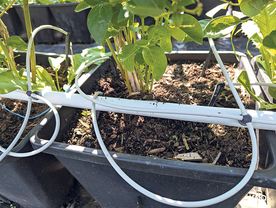 L’irrigation étant l’une des principales sources de consommation d’eau dans une ferme, Carl Boivin insiste sur l’importance de « l’irrigation raisonnée ». Photo : Gracieuseté de l’IRDA
