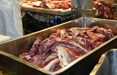 L’accord de libre-échange entre le Canada et la Corée du Sud permet aux éleveurs de bœuf et de porc d’être sur un pied d’égalité avec leurs concurrents ayant déjà signé une telle entente. Crédit photo : Archives/TCN