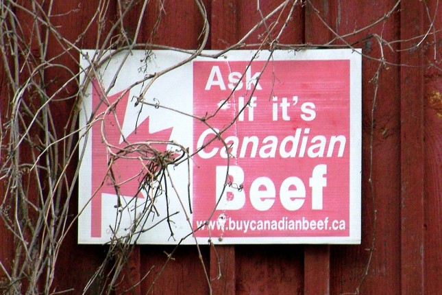 La Corée du Sud suspend ses importations de bœuf canadien à la suite de la découverte d’une vache folle en Alberta. © WiII S.